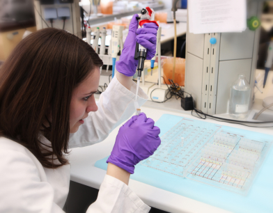 iStock_000009288761XSmall